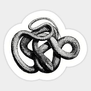 black and white abstract snake design Sticker